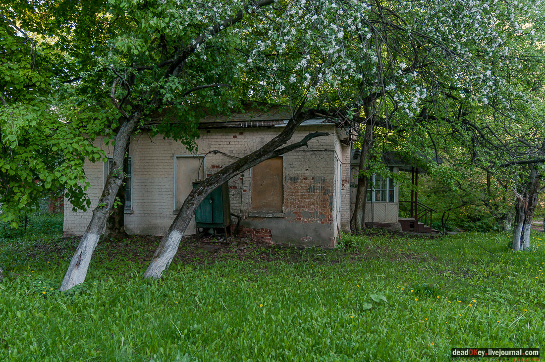 усадьба Кунцево