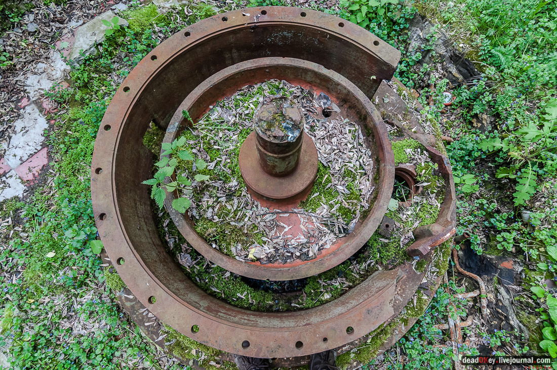 усадьба Коленцы