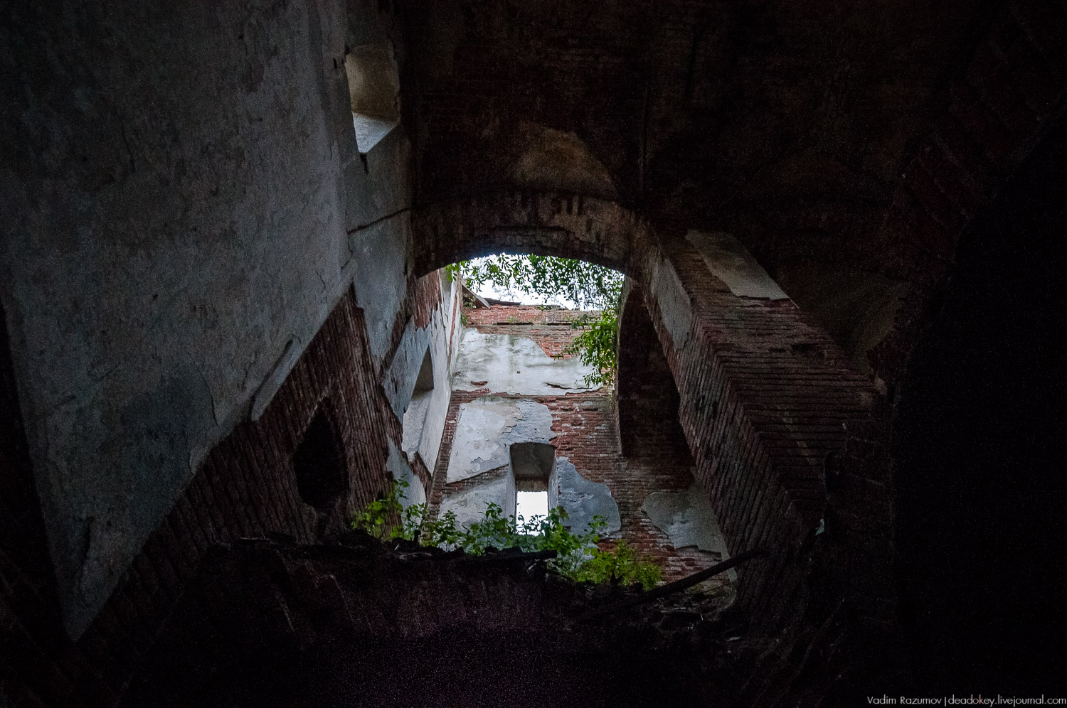 усадьба Каргашино