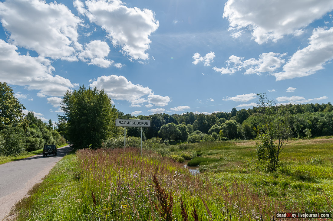 усадьба Васильевское Повалишиных