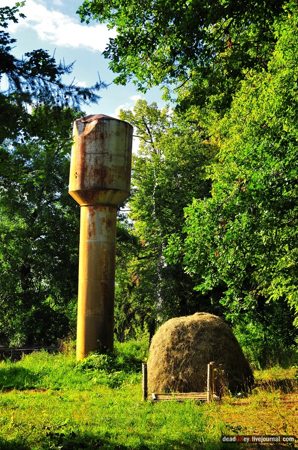 усадьба Смоленское