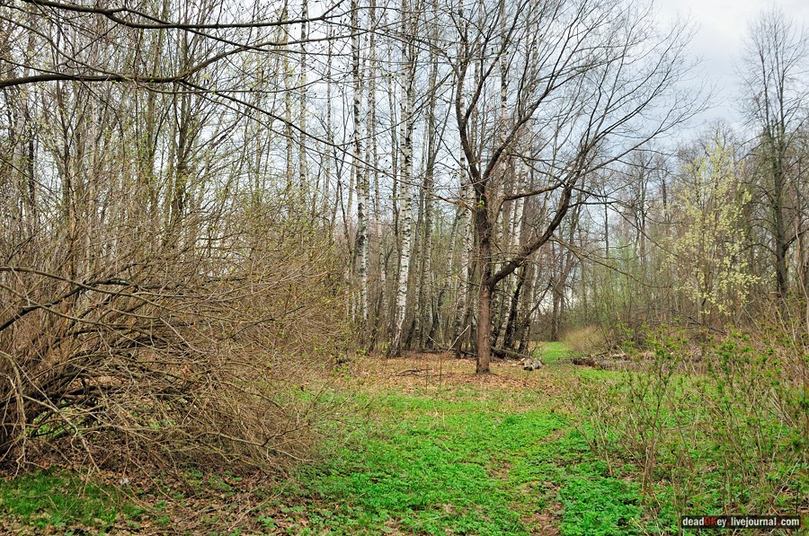 усадьба Антипино