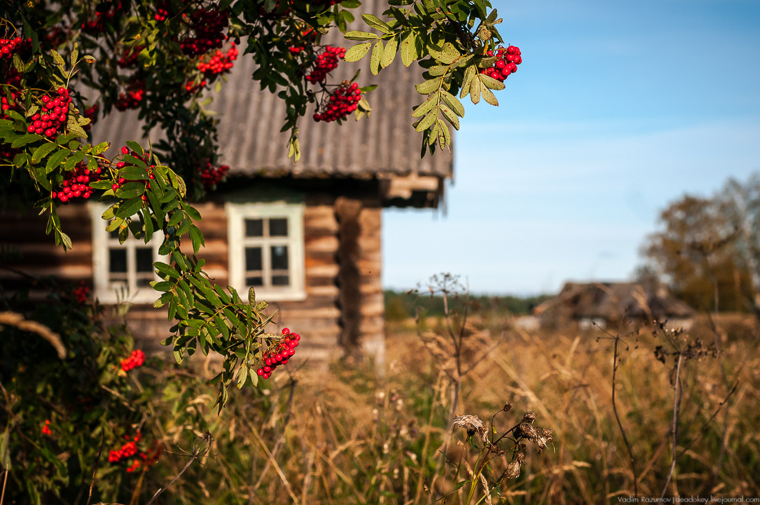 дер. Кучепалда, Архангельская обл.