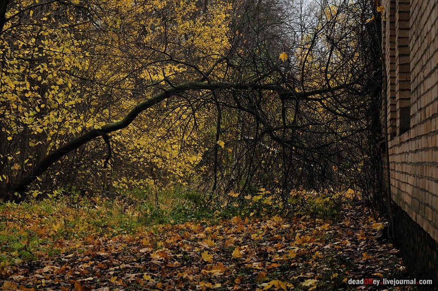 усадьба Жуково