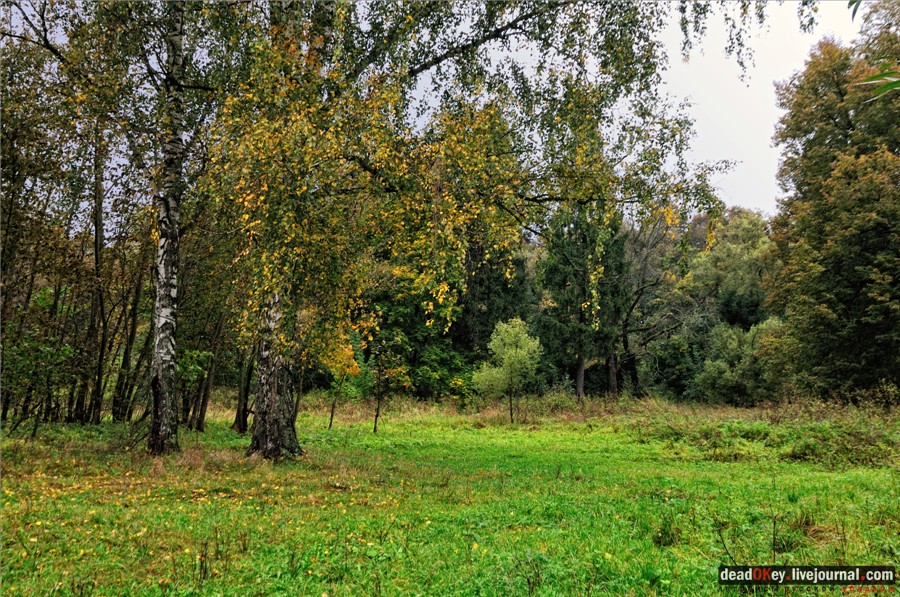 усадьба Ляхово