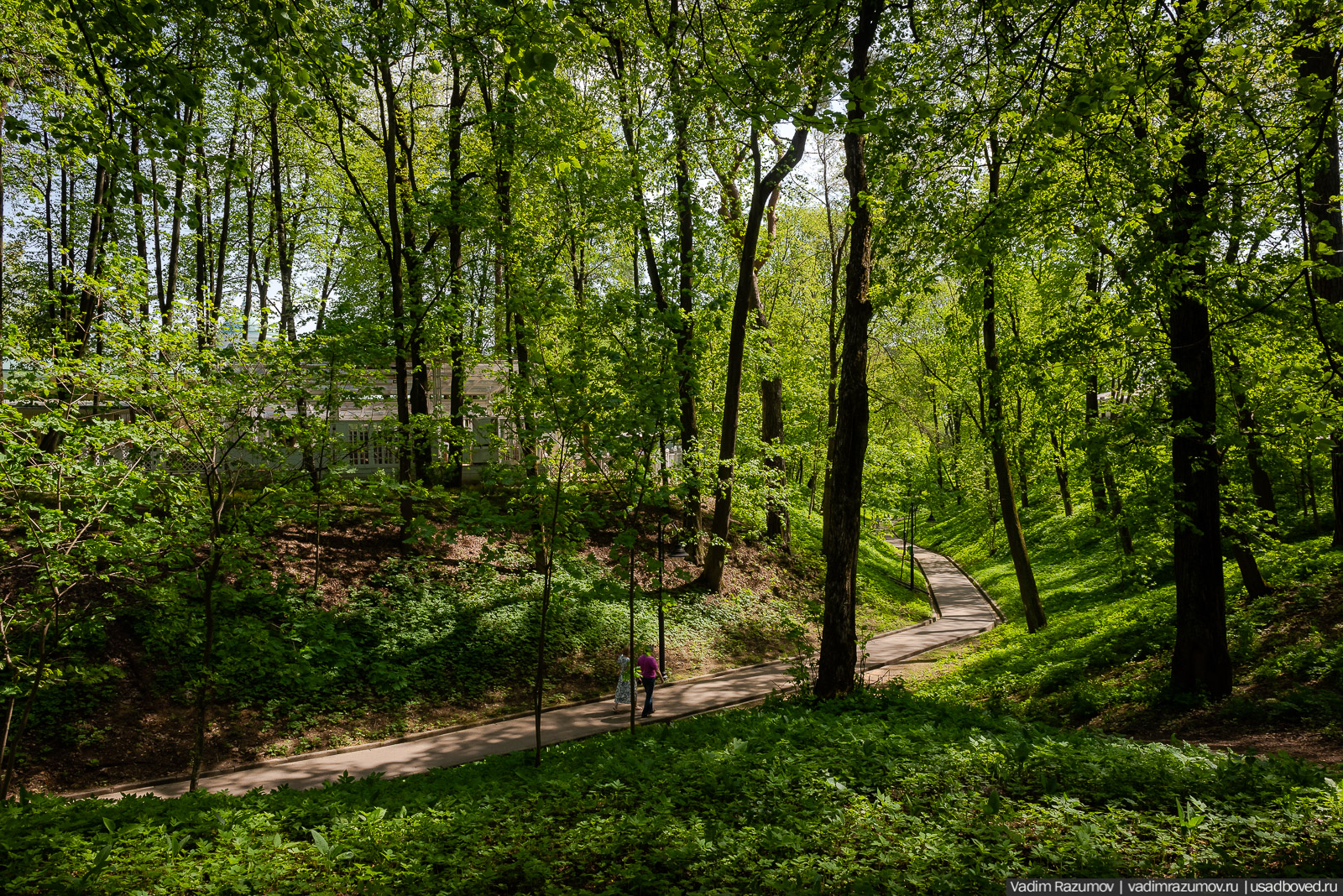 усадьба Архангельское, весна, май 2021