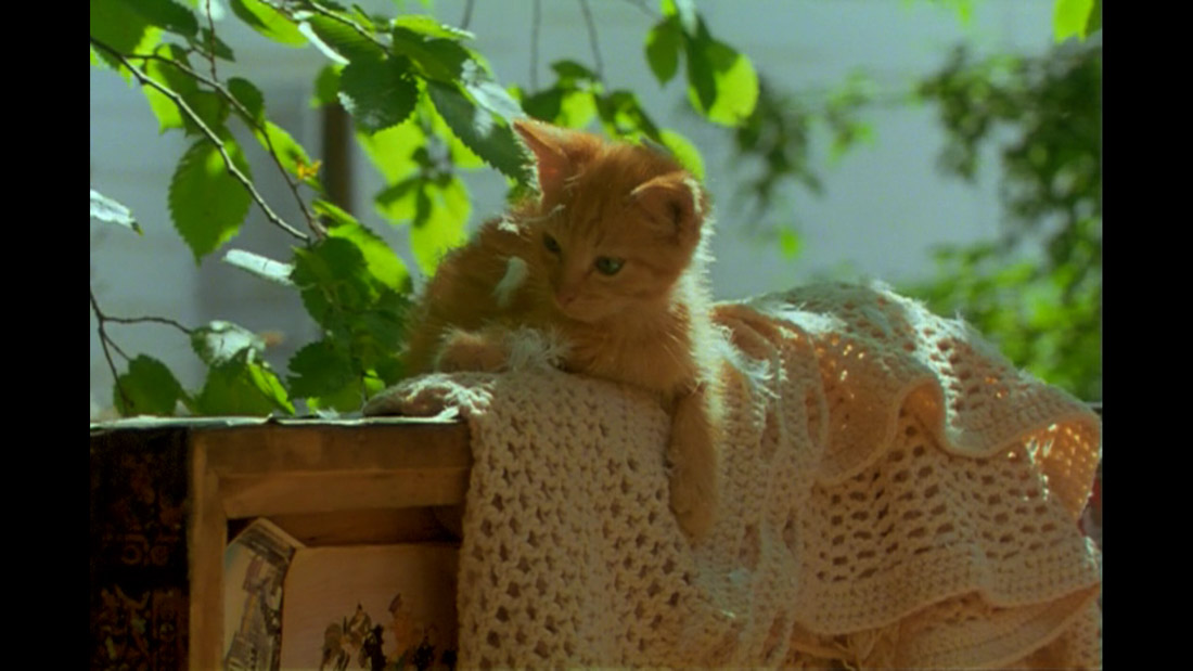 фильм Му-му (1998), усадьба Волынщина-Полуэктово, Московская область, Рузский район.