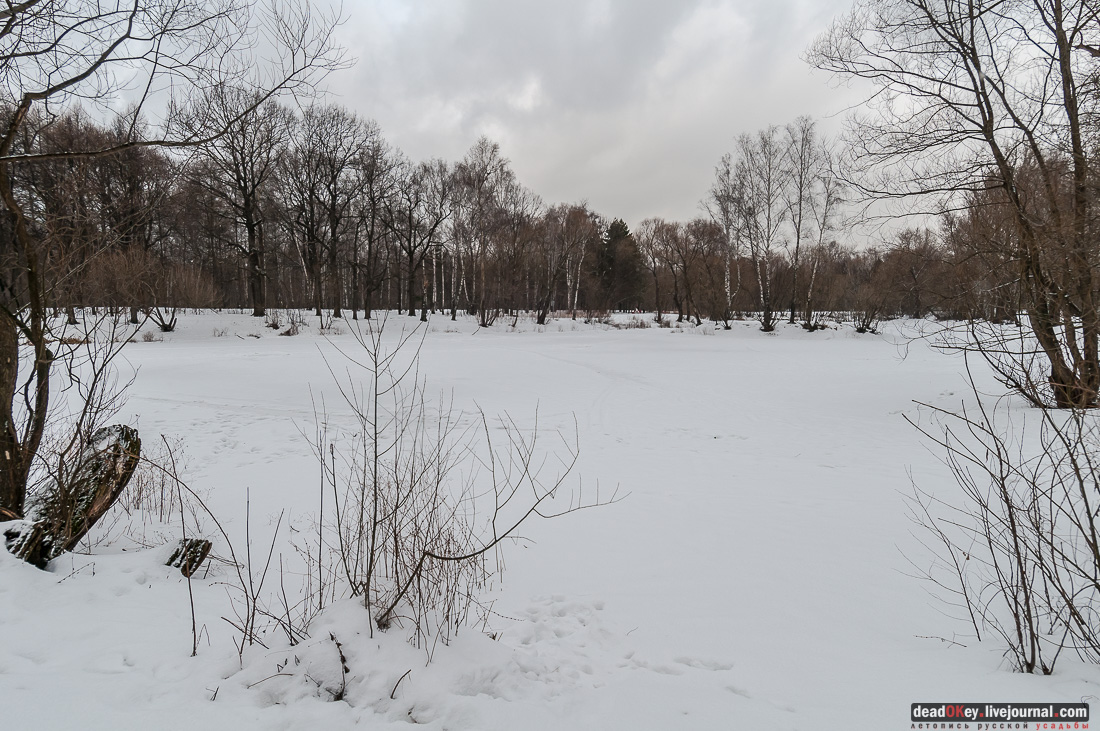 Вокруг Кусково