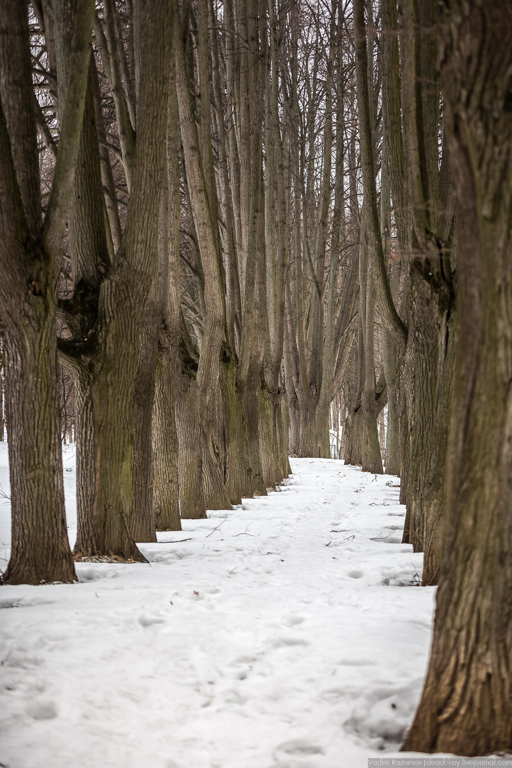 усадьба Узкое, город Москва, санаторий