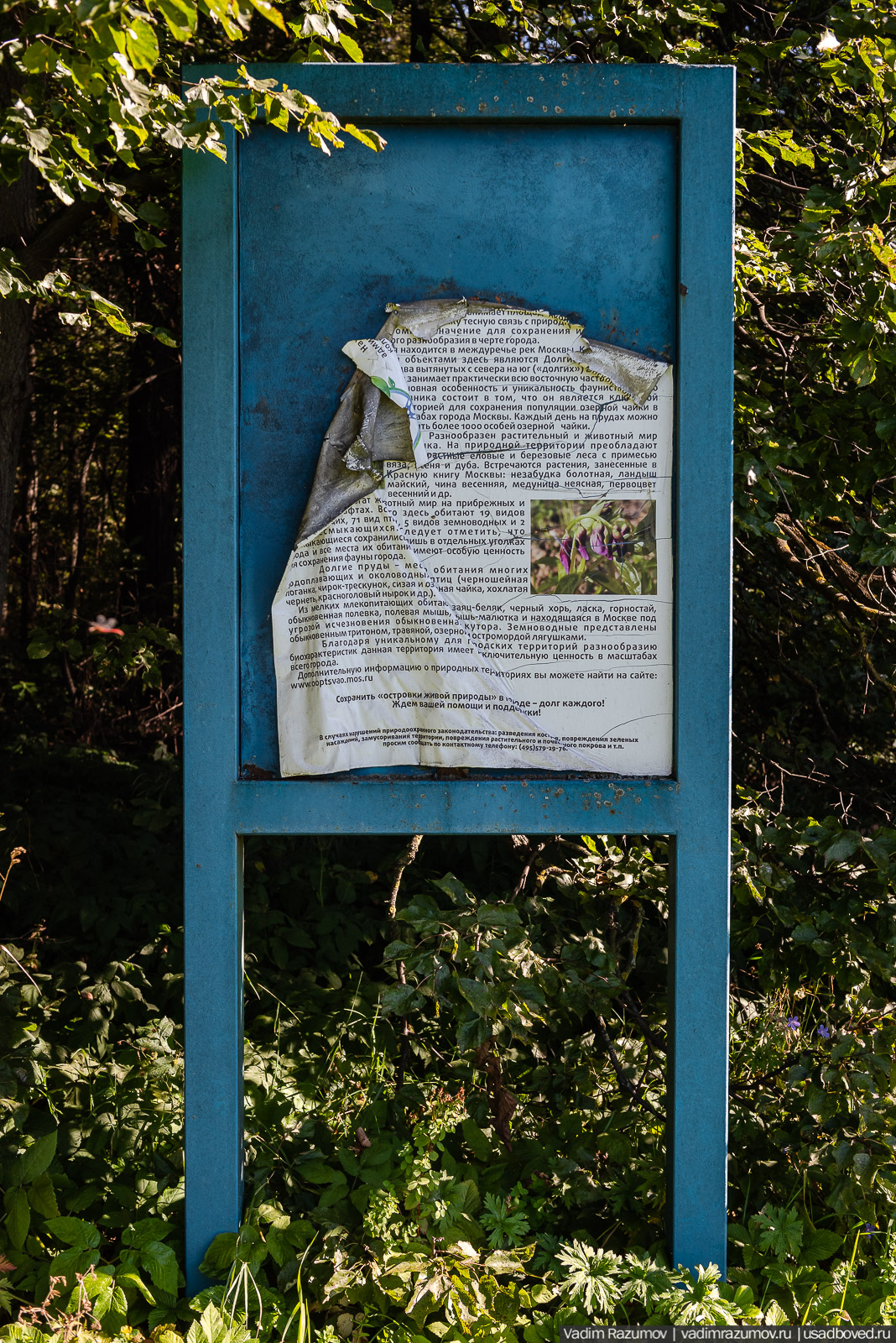 Усадьба Заболотье, парк, курганы, Долгопрудный, Москва