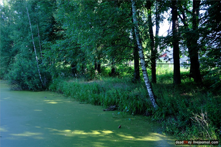 усадьба Долгое Ледово