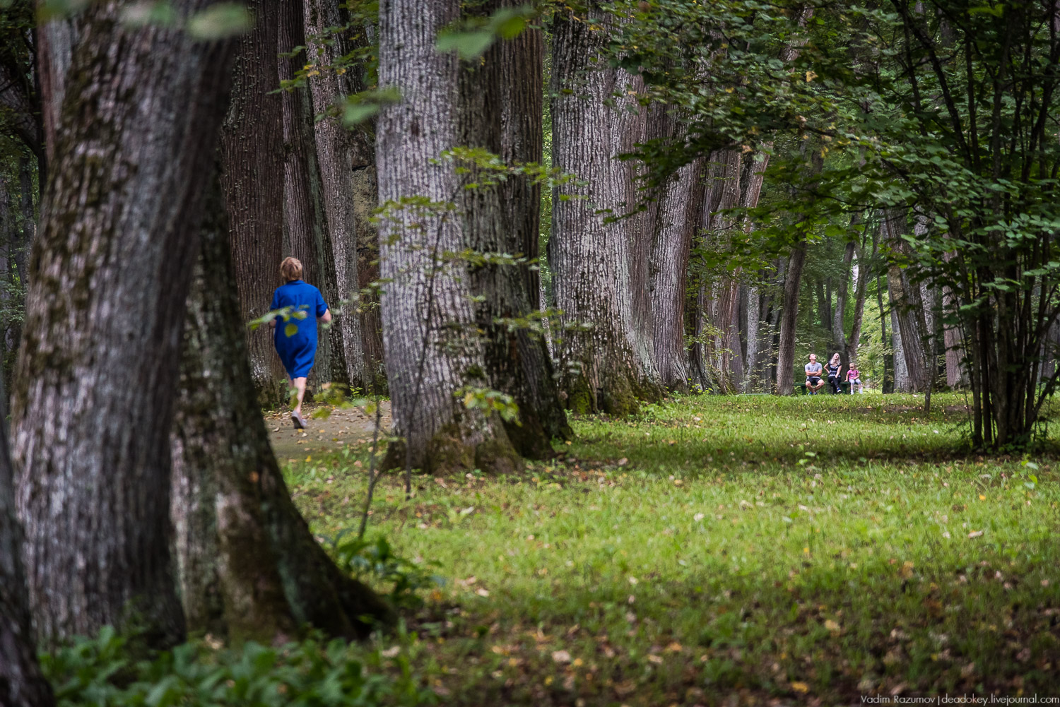 усадьба Спасское-Лутовиново И.С. Тургенева, юбилей Тургенева 200 лет, Орловская область