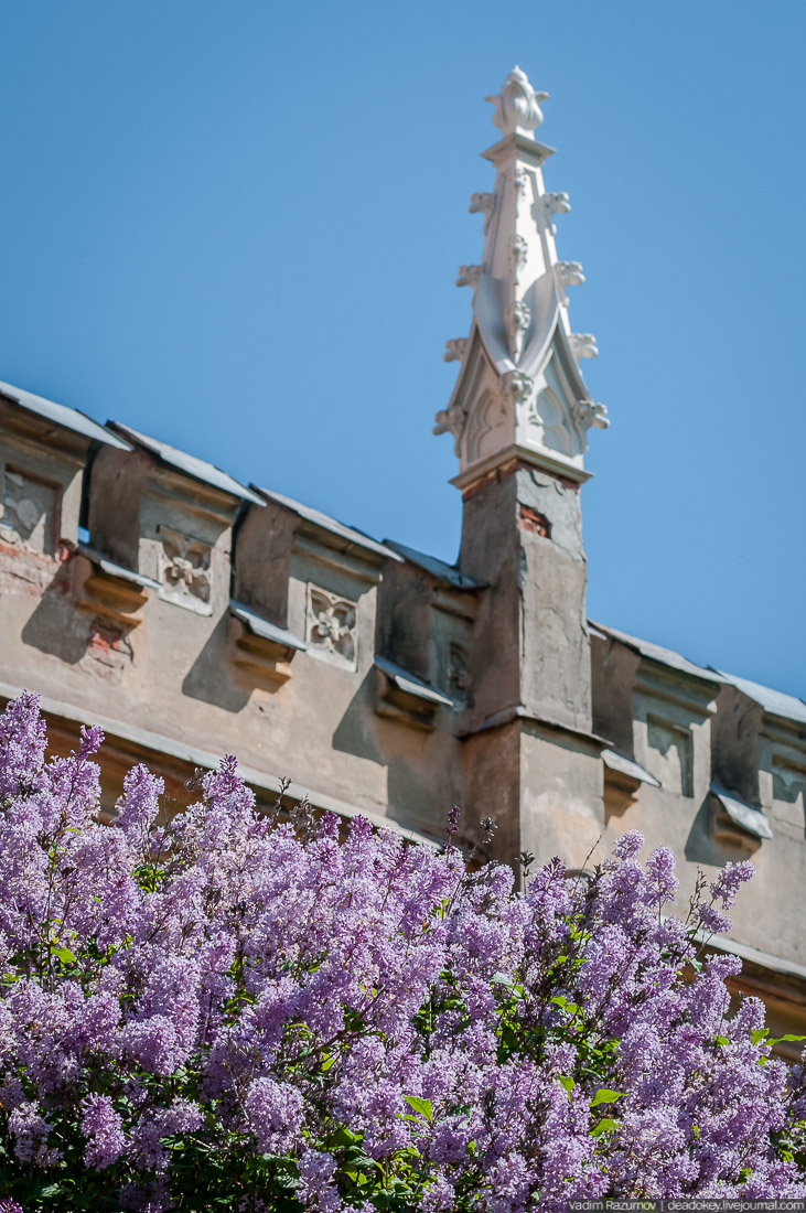 Петергофские конюшни