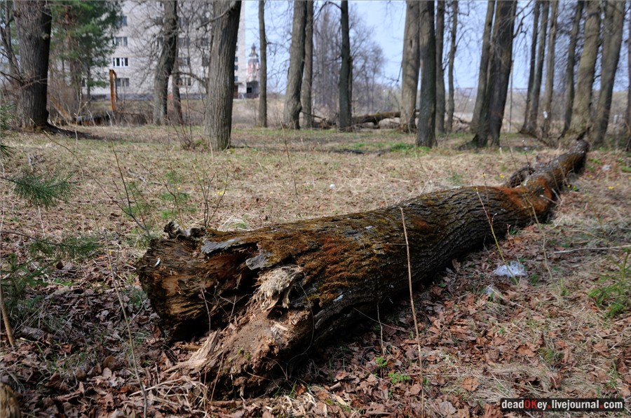 усадьба Грабцево