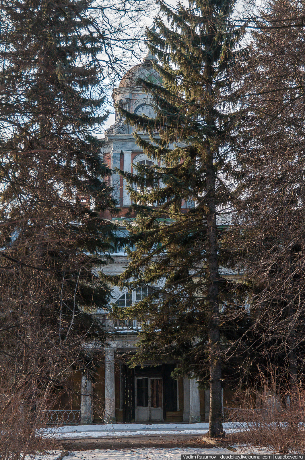 Усадьба Виноградово, Москва, башня дома Германа