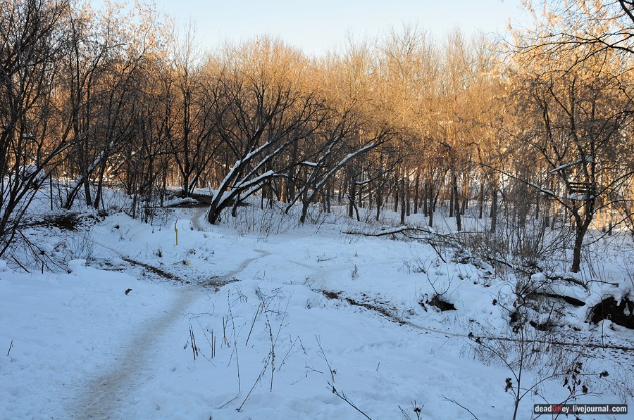 усадьба Петровское-Лобаново