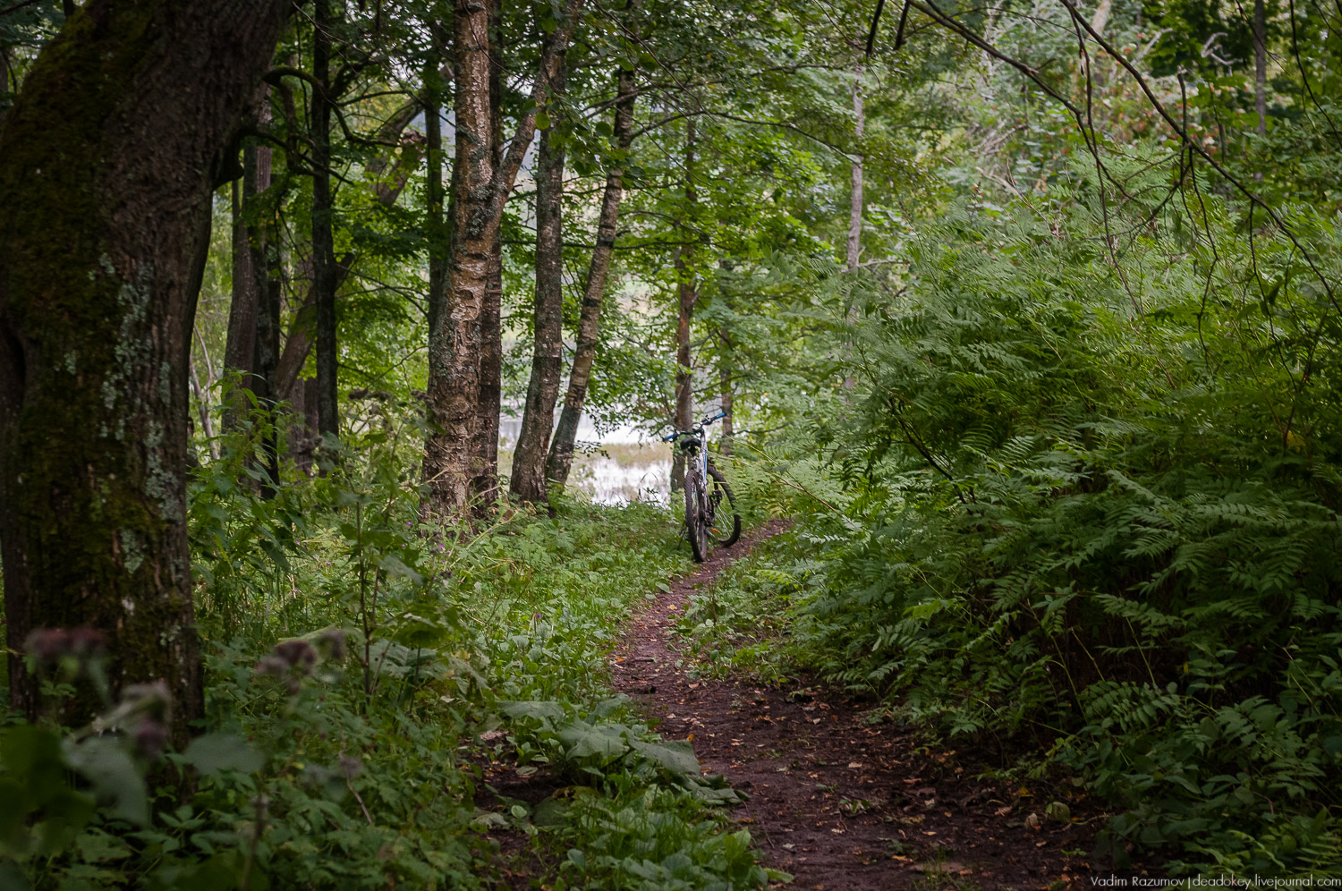 усадьба Красное Полторацких, Преображенская церковь Фельтена, Старицкий район, Тверская область
