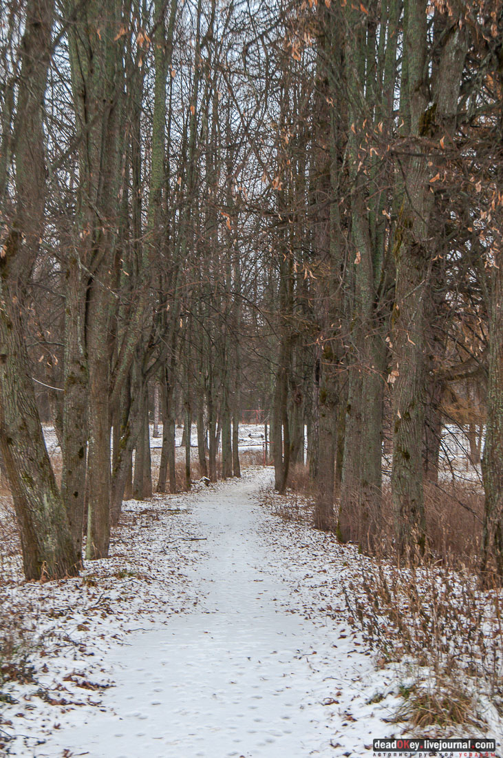 усадьба Ольгово