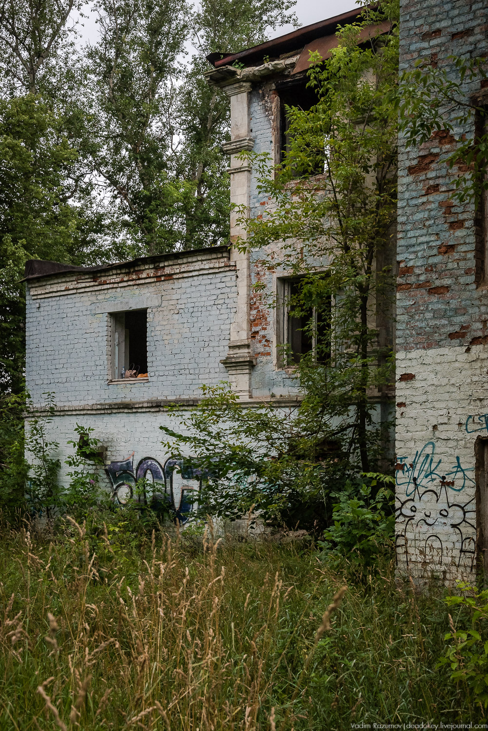 усадьба Лапино-Спасское, г. Королев, Усадебные волонтеры