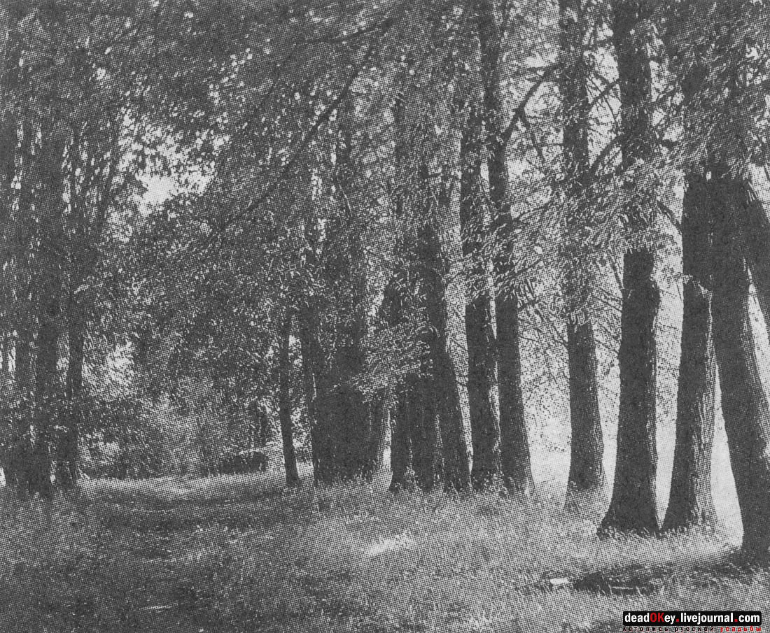 Усадьба Стародуб