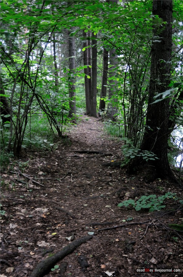 усадьба Алмазово