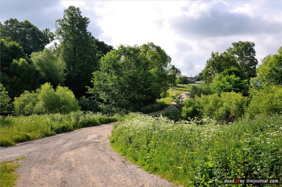 усадьба Дубки