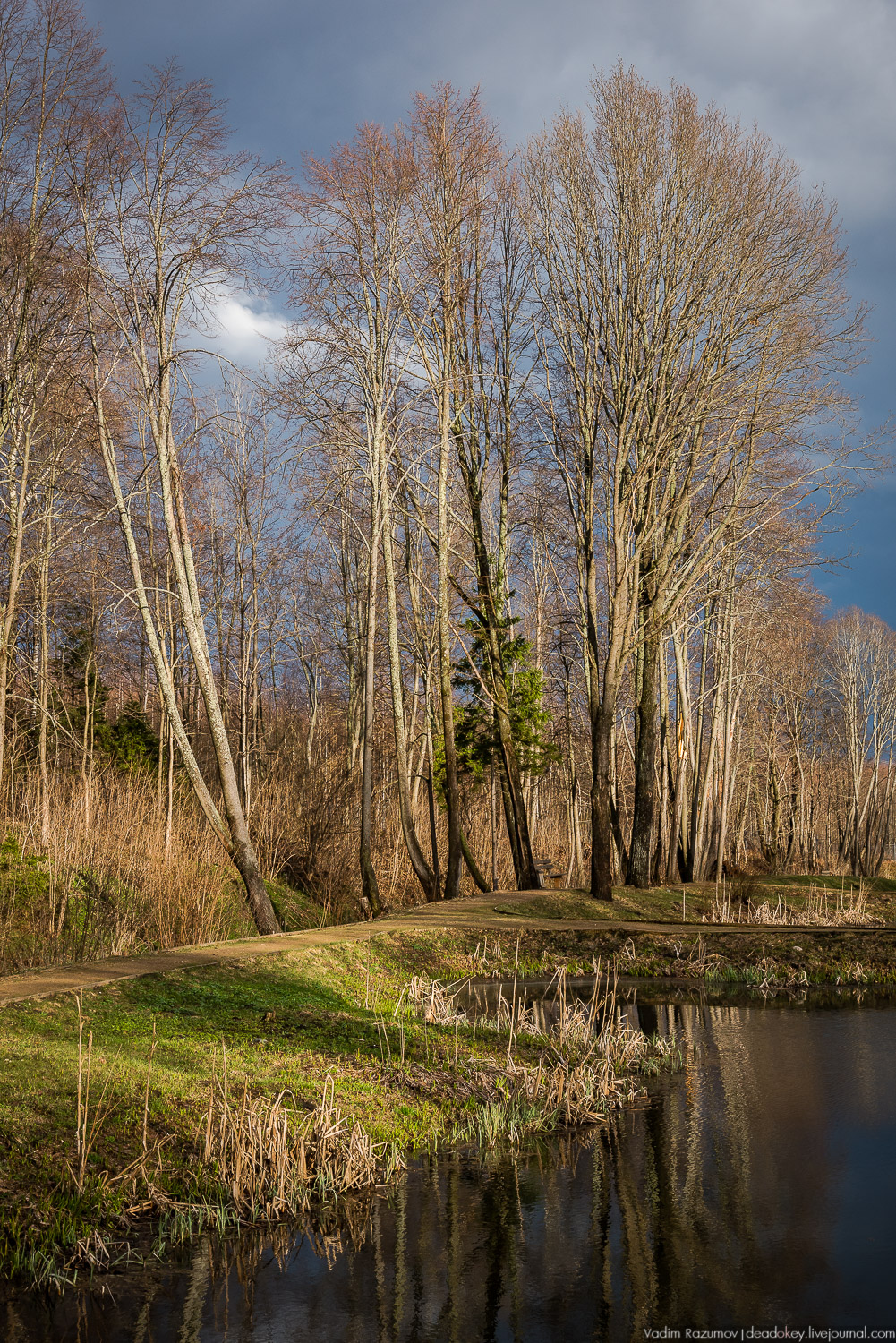 усадьба Домотканово, весна 2018 год