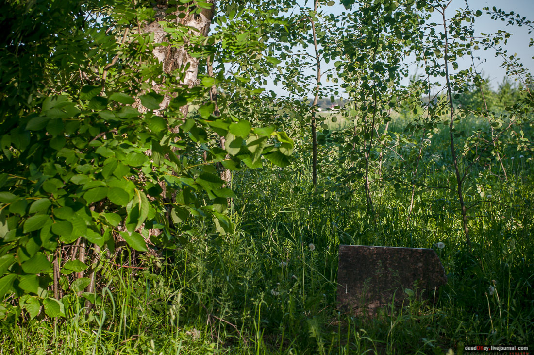 Пейзажный парк в усадьбе Гребнево
