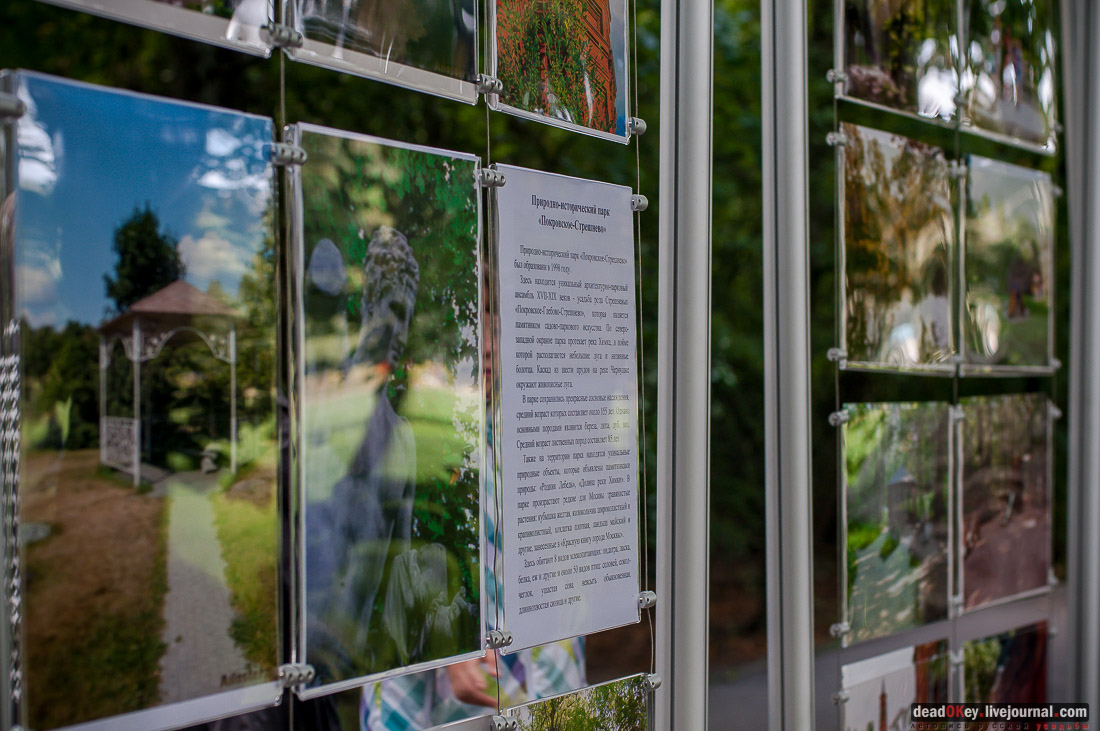 усадьба Покровское-Стрешнево, день города 2014, фотовыставка