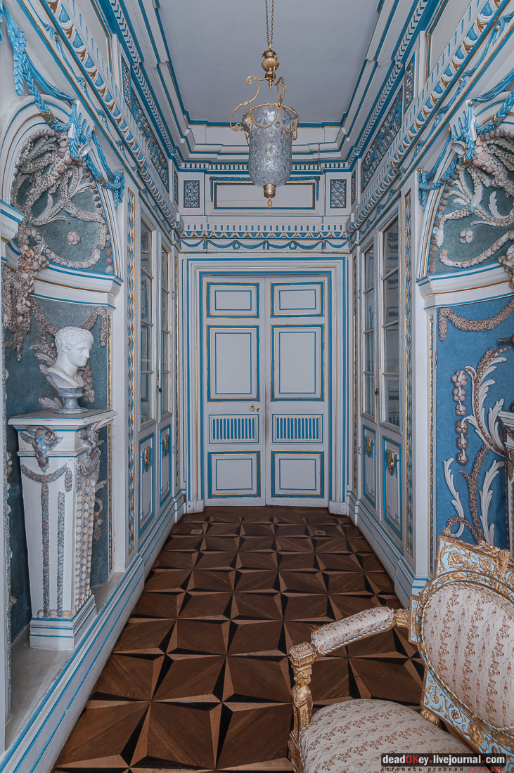 усадьба Кусково библиотека