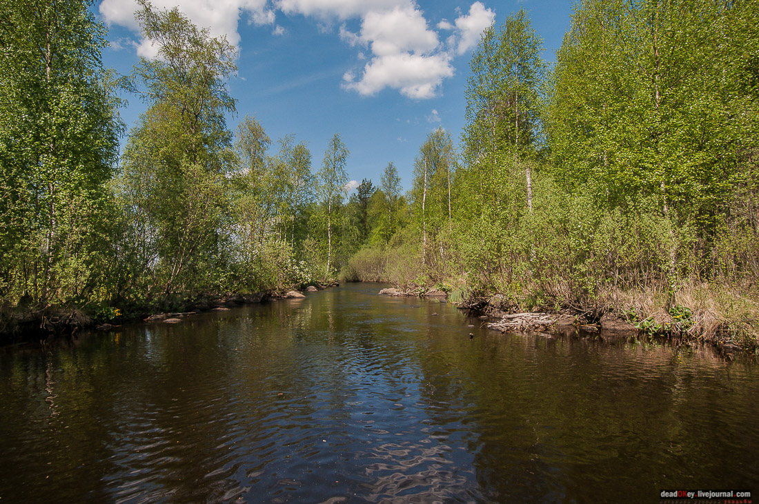 Россия, Карелия, Кондопожский район, Вендеры, Сяпчозеро, Спасская Губа