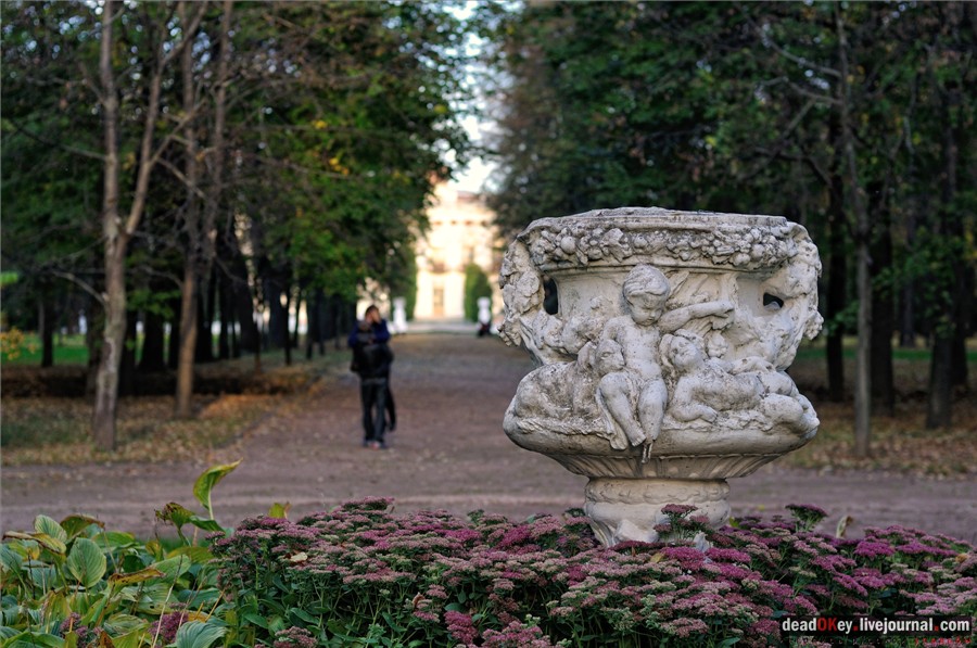 усадьба Петровское-Разумовское
