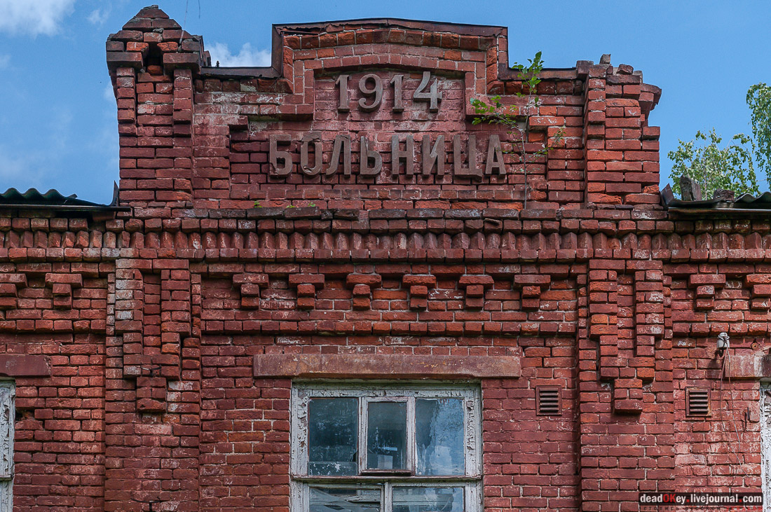 Книга город Дедовск. Век перемен