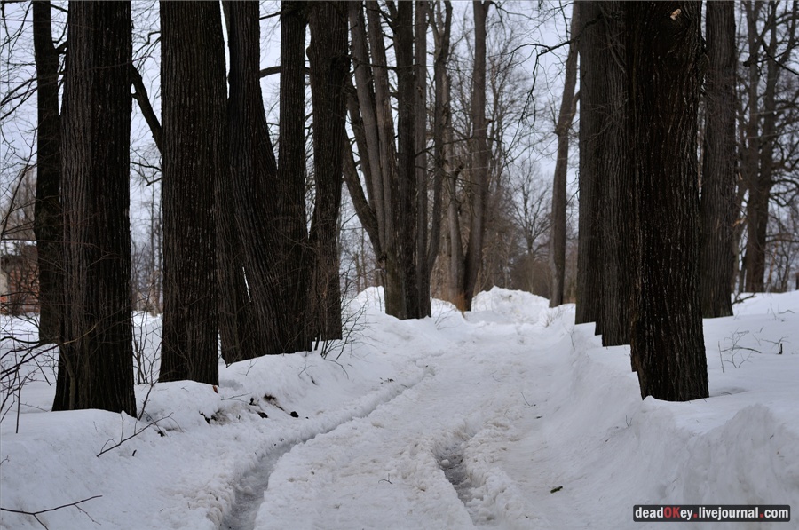 усадьба Ельдигино