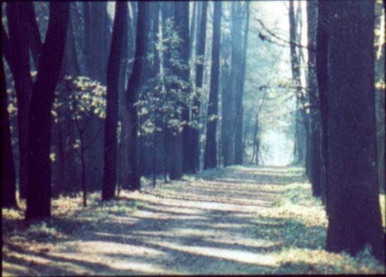 усадьба Горки Ленинские