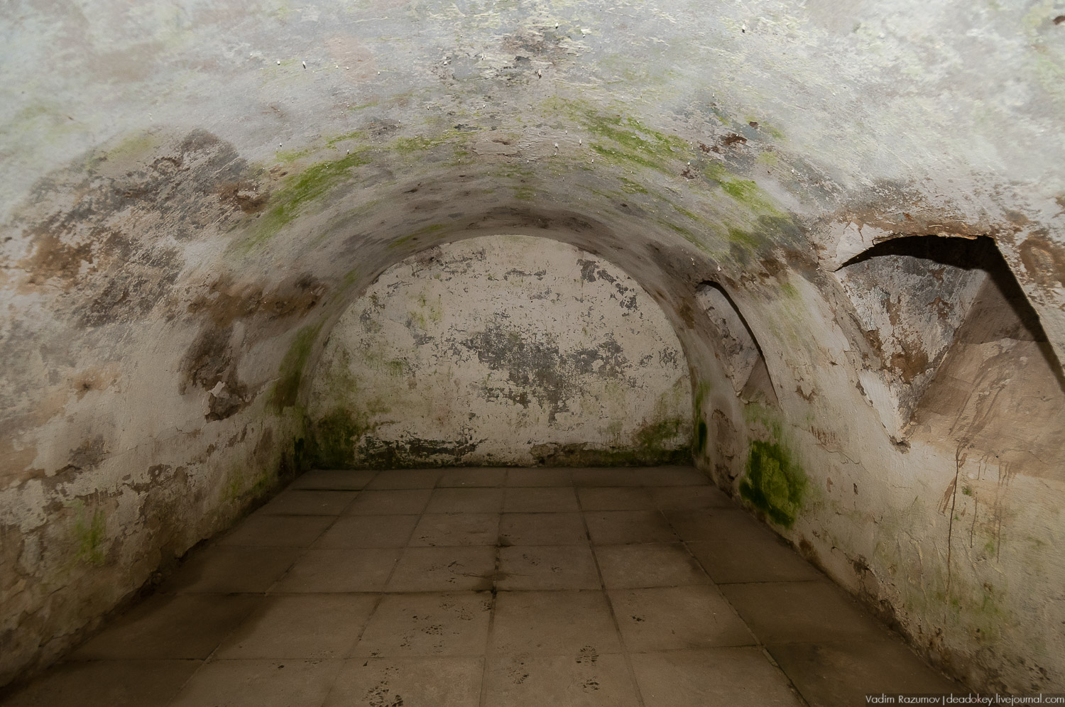 усадьба Пальна-Михайловка, аудиогид по усадбе, фото Вадим Разумов