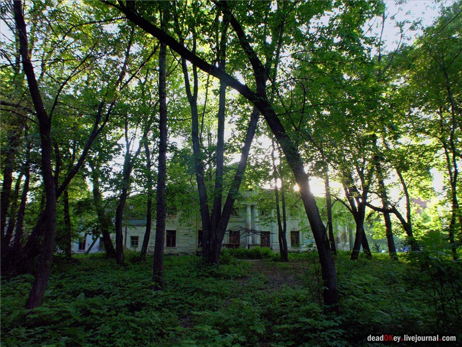 усадьба Черкизово (Коломенский район)