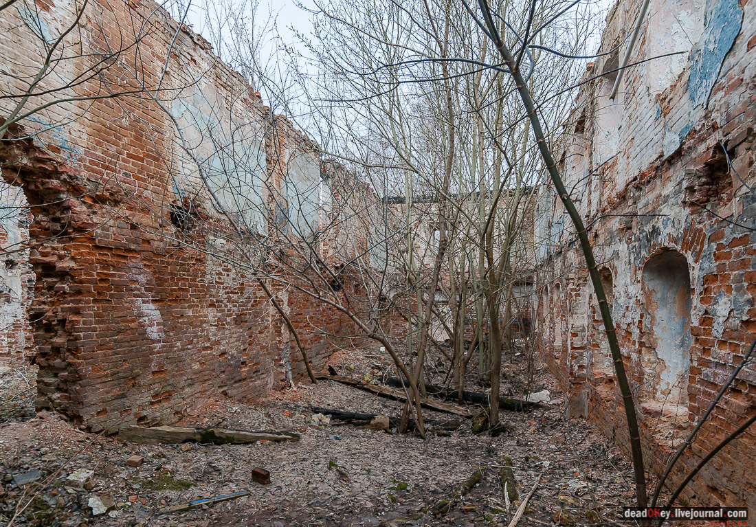 Усадьба Белая Колпь