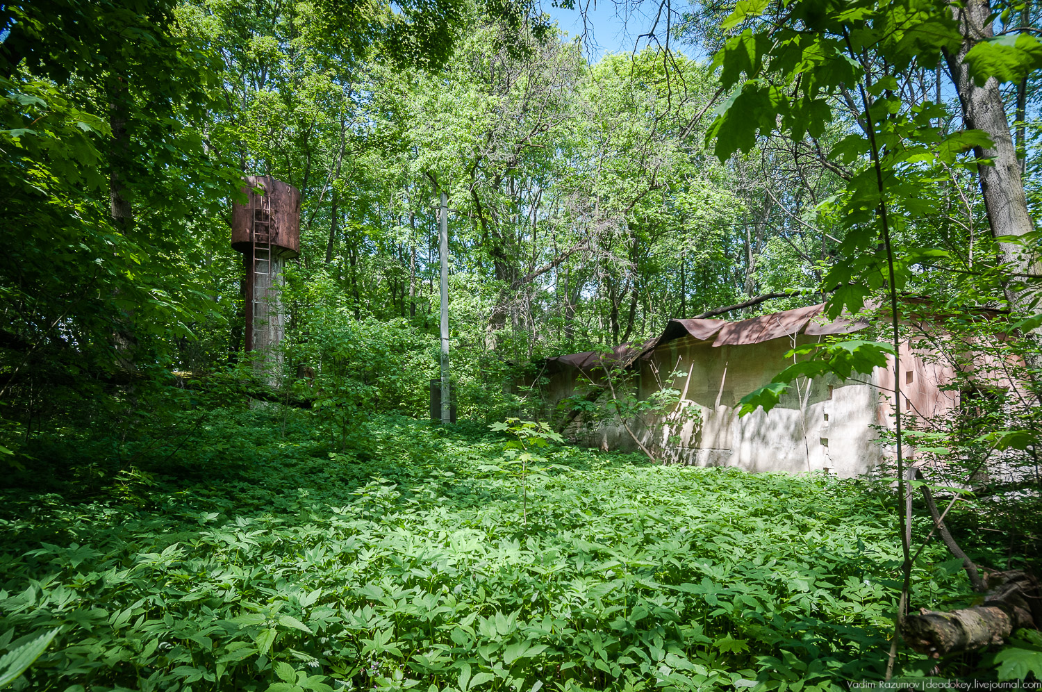 усадьба Хрусловка фон Мекк, Тульская область