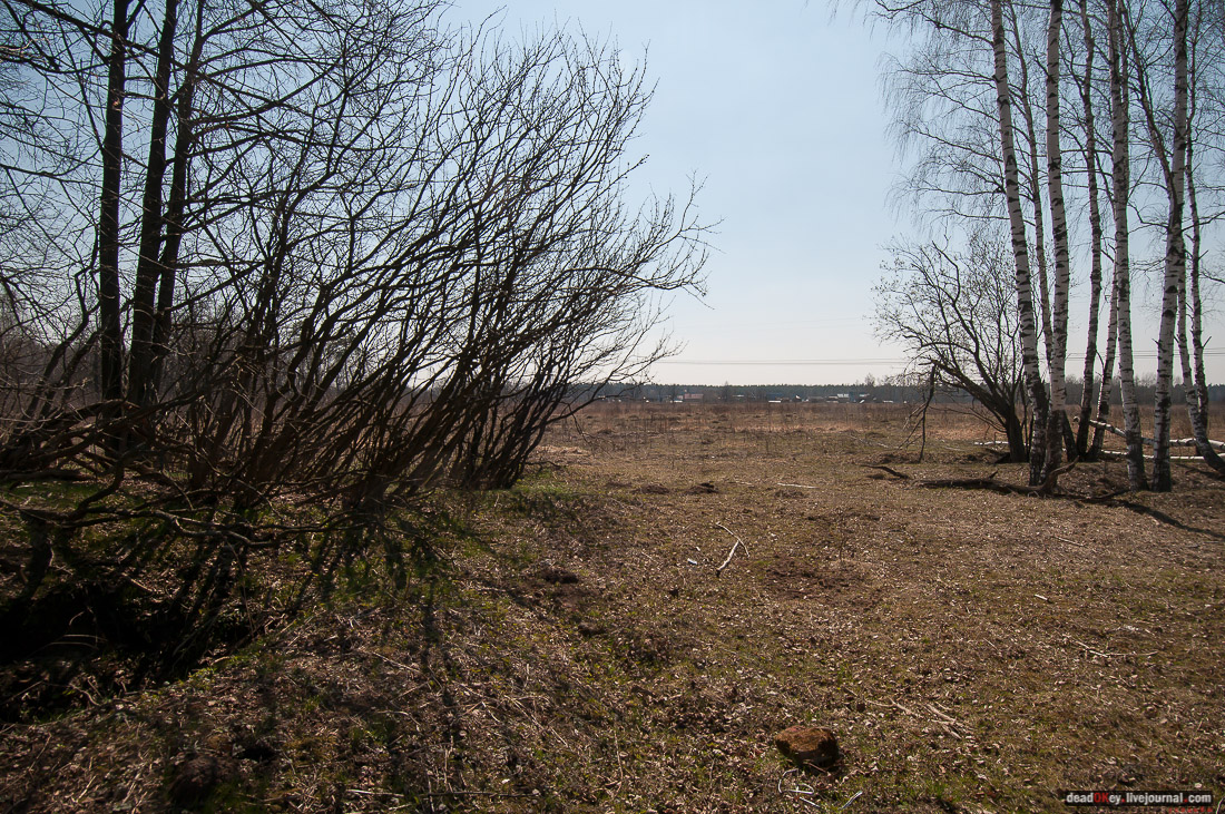 усадьба Савинское (исследование масонского парка)