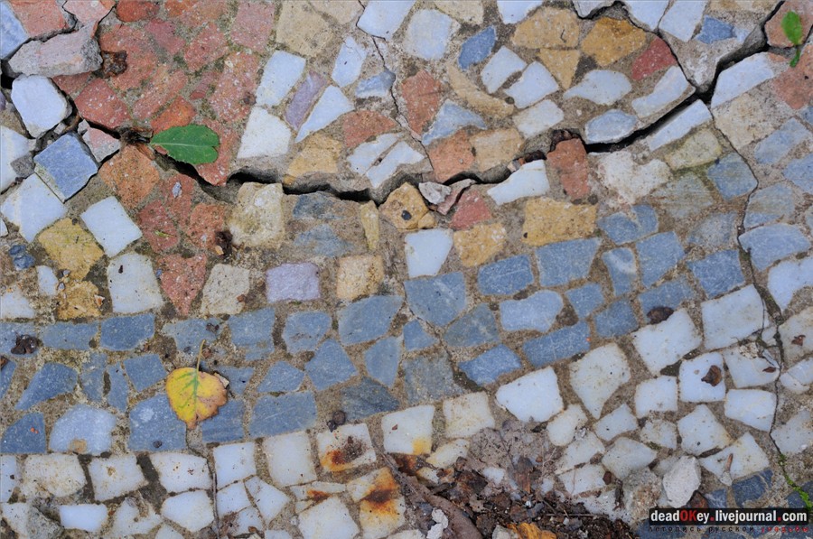 усадьба Глинки Якова Брюса (пансионат Монино)