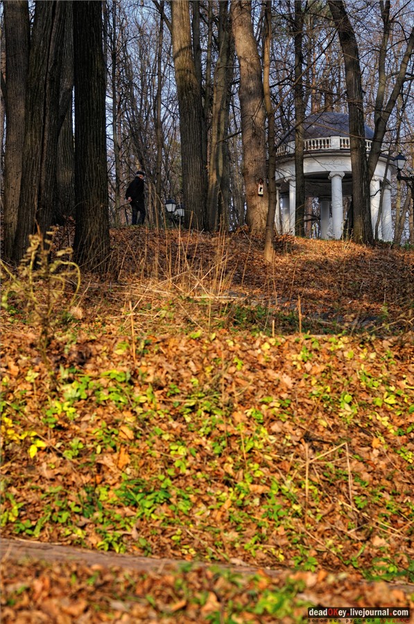 усадьба Царицыно