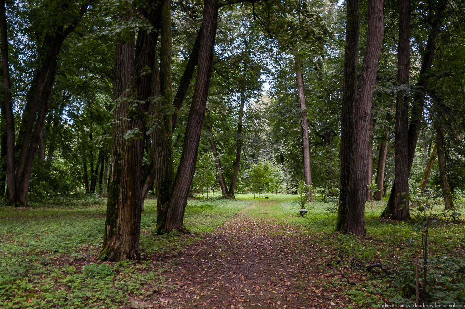 усадьба Даровое, Зарайский район, Ф.М. Достоевский