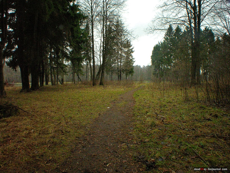 усадьба Глухово