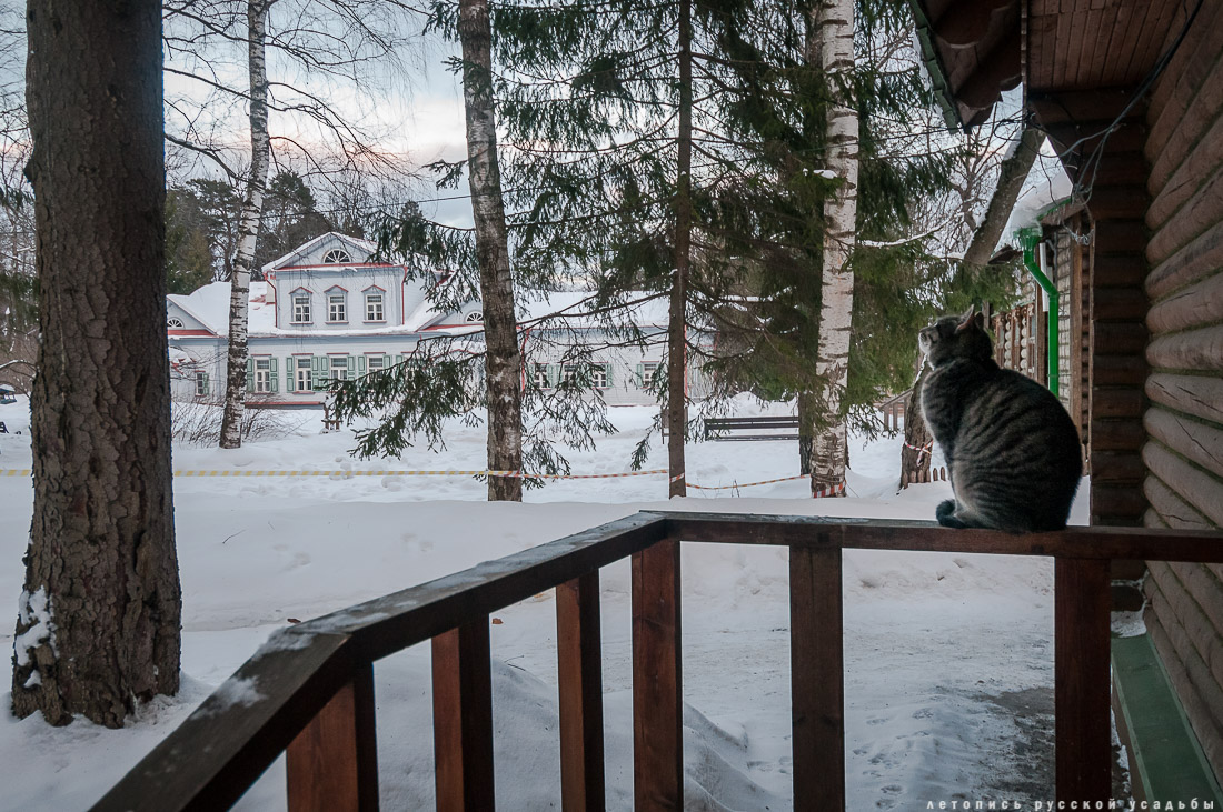 усадьба Абрамцево, зима 2017