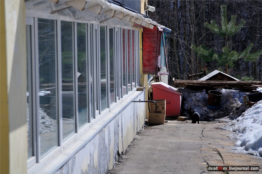 усадьба Узкое