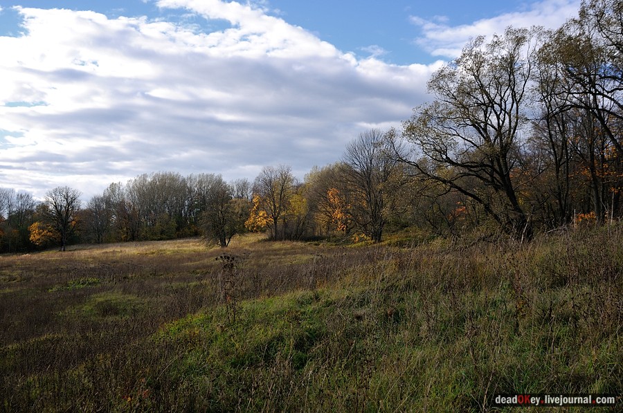 усадьба Авчурино