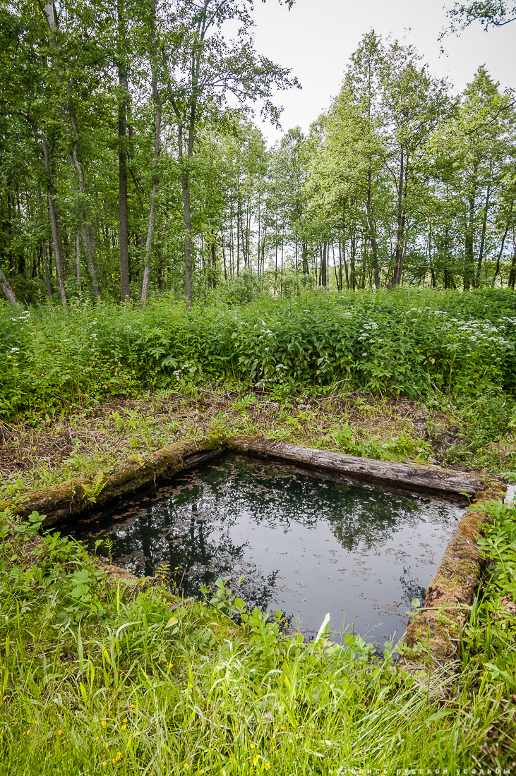 усадьба Спас-Угол