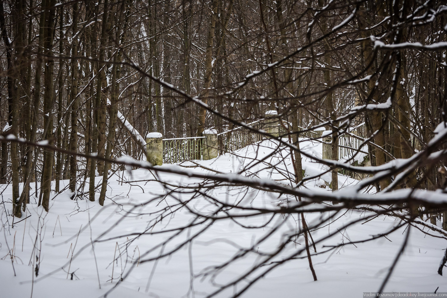 усадьба Знаменское-Садки