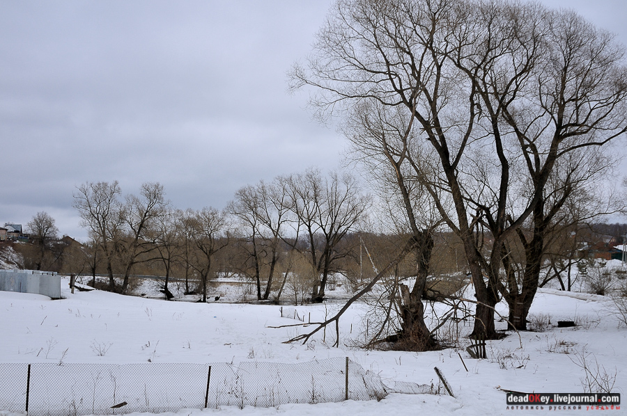 усадьба Сынково